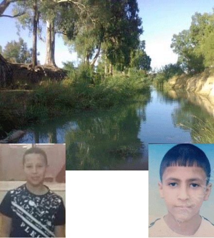 أم البواقي