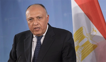 وزير الشؤون الخارجية المصري يحل بالجزائر في زيارة رسمية