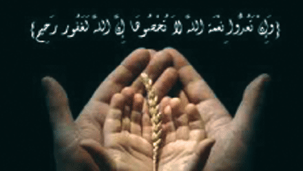    اكتشاف الإنسان لنعم الله مفتاح السعادة والغفلة عنها شقاء