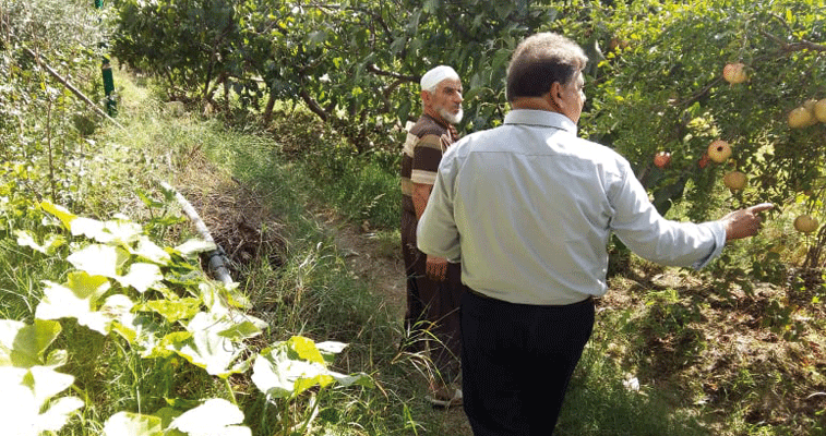 فلاحون يطالبون باستغلال محطة حمام زواوي وتنقية المجاري: إنتاج وفير ببساتين الحامة بقسنطينة رغم مشاكل السقي
