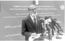 رئيس المجلس الدستوري كمال فنيش: تعديل الدستور يتم بالطريقة الأكثر ديمقراطية