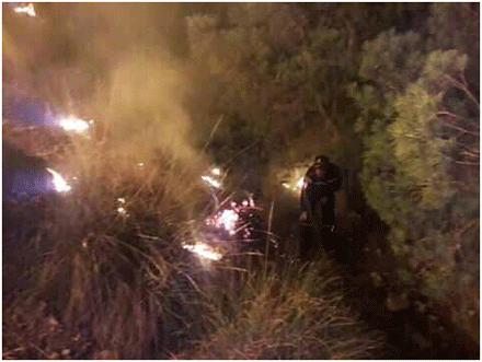 فيما تفحمت عدادات كهربائية بتبسة : حريقٌ يلتهم 5 هكتارات بجبلي بوغافر و العاطف