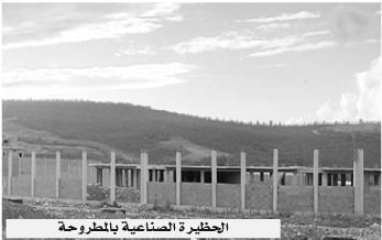 قِطع جرداء وأخرى غزتها الحشائش بحظيرة المطروحة: تعليمات بتطهير العقار الصناعي بالطارف