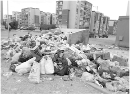 لم يتم رفعها منذ أسبوع: تكدُّس أطنان من النفايات بالوحدة الجوارية 20 