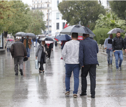 باحثة توعز الأمر إلى تعافي الطبيعة بسبب الحجر و تؤكد: