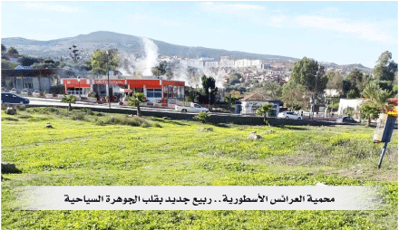 أزهار و بساط طبيعي أخضر بالمحمية الأسطورية و الشلال الشهير