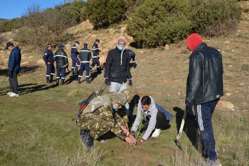 وزارة الدفاع: الجيش يشارك في حملة تشجير بباتنة