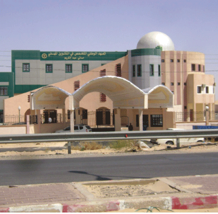 الوادي:  فتح تخصصات زراعية  في التكوين المهني