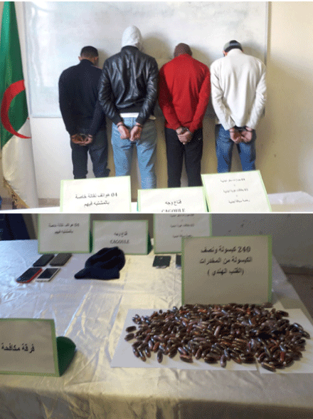 ضمن شبكة دولية لتهريب المخدرات داخل البطون