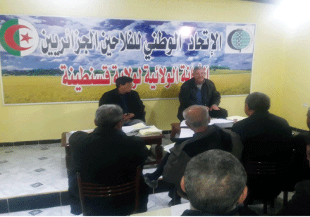 الفلاحون يتوقّعون انخفاض الإنتاج بـ 40 بالمئة: الجفاف يهدّد الموسم الفلاحي بقسنطينة