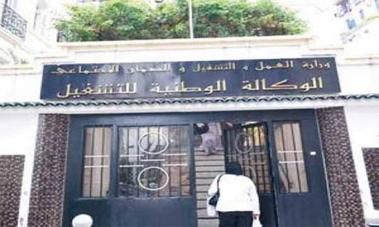 عقود ما قبل التشغيل: سيتم قريبا ترسيم 160 ألف مستفيد كمرحلة أولى