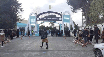 رئيس الجامعة يؤكد أن ممثليه غابوا في لقاءات معالجة الانشغالات: تنظيم طلابي يشلّ القطب الجامعي محمد الصديق بن يحيى بجيجل