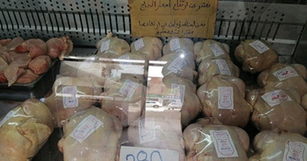مربون بقسنطينة يرجعونها إلى ضعف الإنتاج : زيادة بحوالي 200 دج في أسعار الدجاج وتوقّعات بارتفاعها 