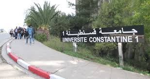 مجلس الوزراء: تأجيل الدخول الجامعي إلى منتصف شهر نوفمبر 2020