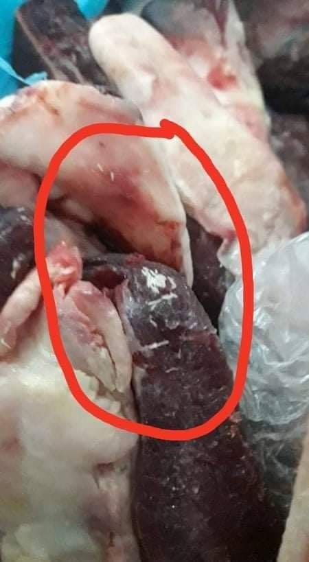سكيكدة: حجز هلام معقم ولحوم فاسدة وزلابية 