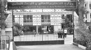 الاتحادية الوطنية للتعليم العالي والبحث العلمي: تأسيس لجنة تضم أساتذة وباحثين للنهوض بالجامعة الجزائرية