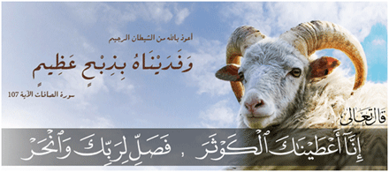 الأضحية رمز لإحياء النفس الإنسانية 