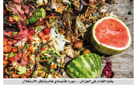 54 بالمئة من النفايات المنزلية بالجزائر من بقايا الغذاء 