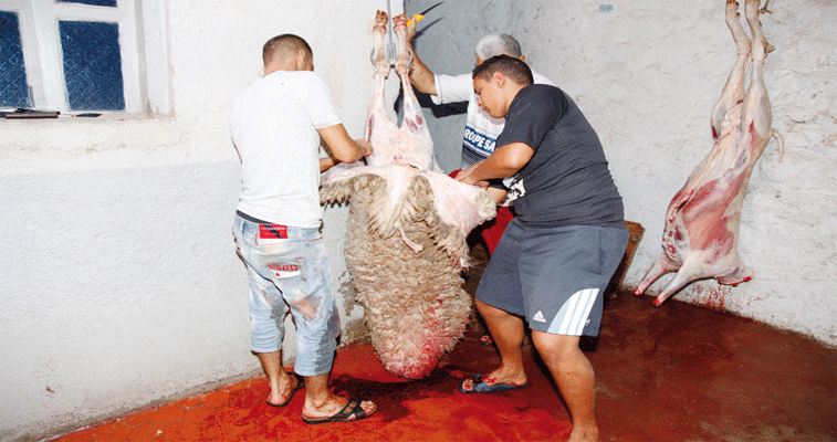 لجنة الفتوى تدعو لتجنب الاكتظاظ والذبح في الطرقات والشوارع: الإبقاء على شعيرة أضحية العيد مع توفير الإجراءات الوقائية