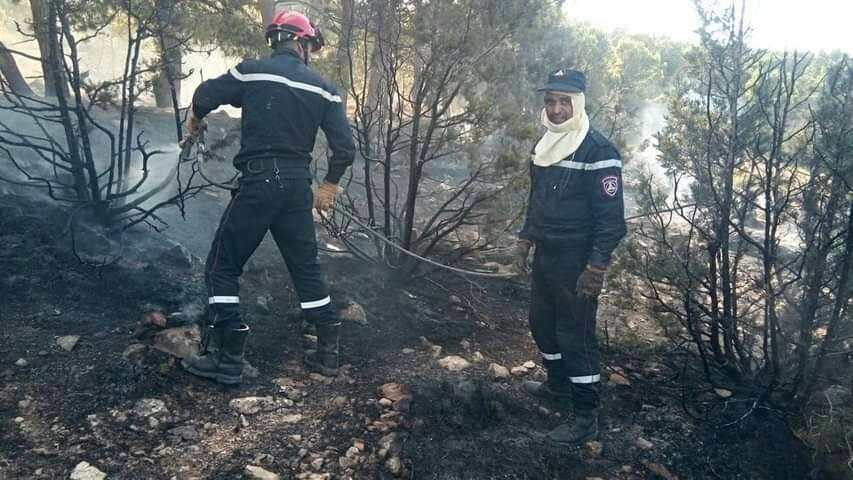 تبسة: تسجيل عدة حرائق خلال يوم العيد  