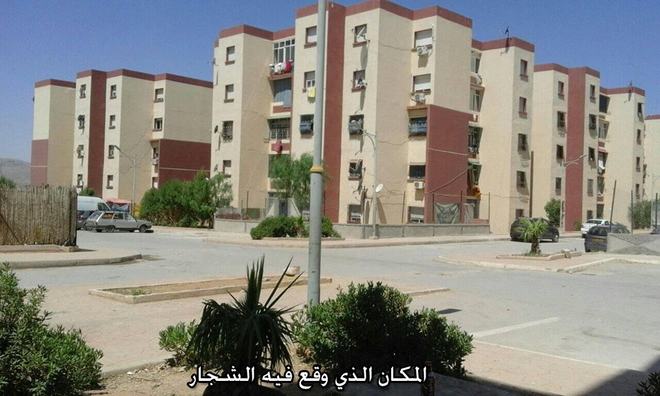 قسنطينة: جرحى في شجار عنيف بعلي منجلي