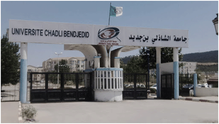 في قضية إسناد صفقة بطريقة غير قانونية: الحبس لمدير جامعة الطارف السابق ونائبته وأعضاء لجنة الصفقات 