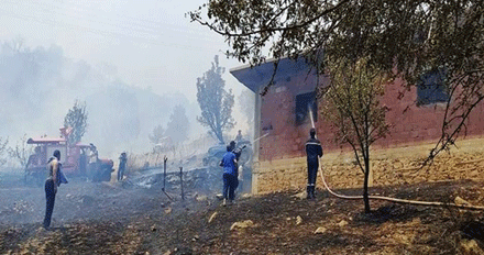 السكان يقولون بأن  ممتلكاتهم تعرضت إلى خسائر فادحة : غابــــات و أدغـــال بوحمدان تحترق بقالمــــة 