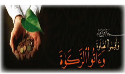 ثمنوا تجربة الصندوق 
