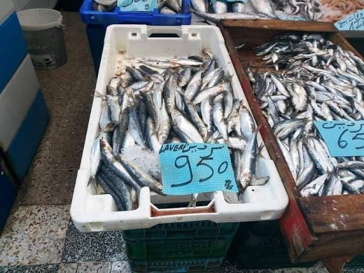 فروخي: نحرص على ضبط أسواق المنتوجات الصيدية وضمان استقرارها
