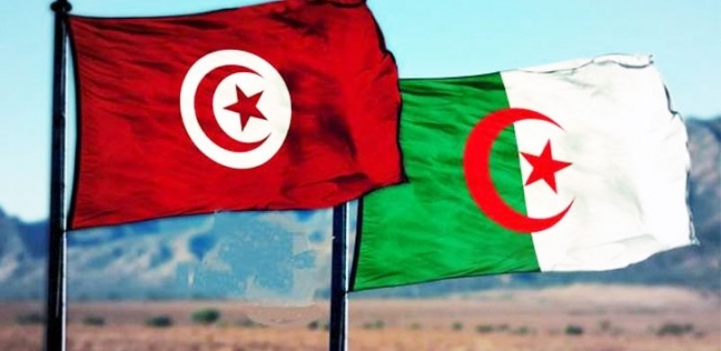 الجزائر وتونس توقعان على 27 اتفاقية تعاون تمس العديد من المجالات