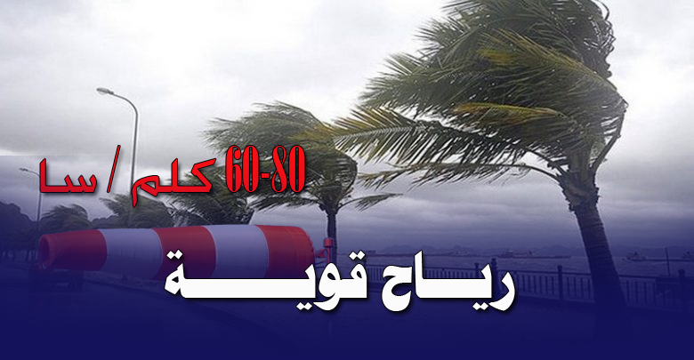 هبوب رياح قوية على الولايات الساحلية الشرقية للوطن يوم غد الإثنين