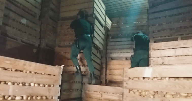 أم البواقي: حبــس فـــــلاح توبـــع بتهمــــــة تخـزيـــــن البطاطــــــــا