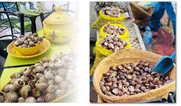 يعد طبقا شعبيا بغرب البلاد 