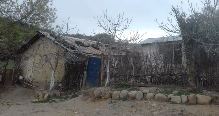 قرية بوحاجب 2 في أولاد احبابة بسكيكدة: حياة متوقفة على مشروع طريق وفيضانات تحاصر السكان  