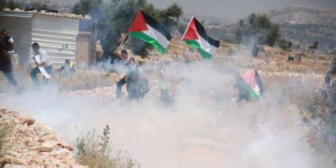فلسطين: إصابات بالاختناق جراء قمع الاحتلال الاسرائيلي مسيرة كفر قدوم  الأسبوعية
