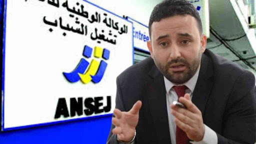 إحصاء 11 ألف مؤسسة مصغرة متعثرة على المستوى الوطني