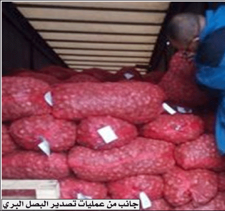 عبر مركز العيون الحدودي بالطارف: تصديـــــر 2200 طـــــن من المنتجـــات الفلاحيــــة و الأسمـــــاك  