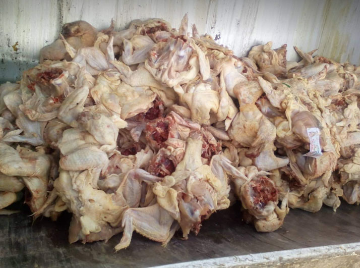 تبسة: حجز وإتلاف 271 كلغ من اللحوم البيضاء والحمراء بالشريعة غير صالحة للاستهلاك
