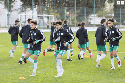 كأس إفريقيا لأقل من 17 سنة: الفاف تختار ثلاثة ملاعب لاحتضان الدورة