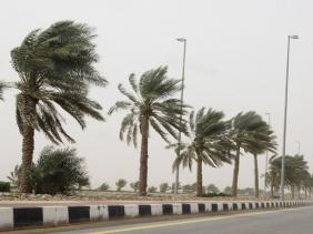 نشرية خاصة: هبوب رياح قوية على عدة ولايات بداية أمسية اليوم 