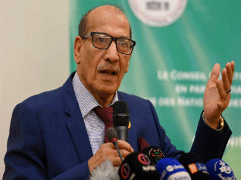 رئيس المجلس الدستوري كمال فنيش 