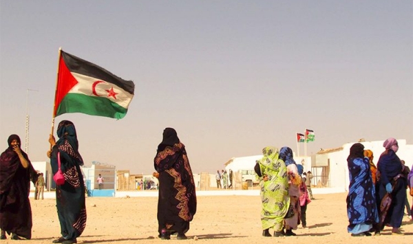 الأمم المتحدة تواصل البحث عن 