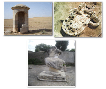 حسب مديرية الثقافة