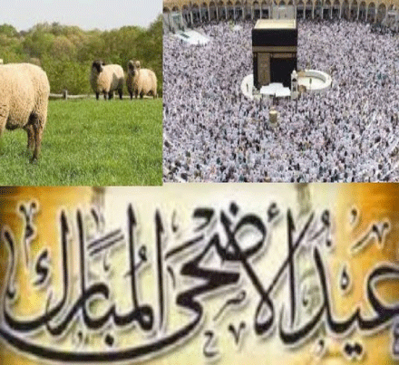 عيد الأضحى المبارك.. في صلاته جمع للكلمة وفي أضحيته حقن للدماء