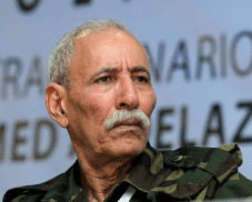 دعم كفاح الشعب الصحراوي: الرئيس غالي يشيد بمواقف الجزائر الثابتة 