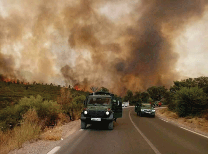 حرائق الغابات: روسيا تعرض على الجزائر مساعدة تقنية