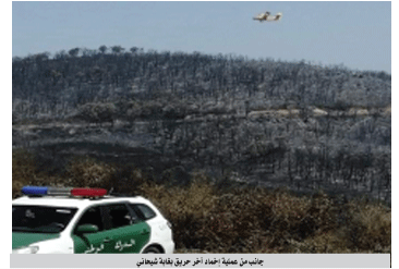 تم إخمادها جميعا : الحــــرائق تتلــــف حوالــــي 2000 هكتار مـــــن الغــابـــات بالطـــــارف