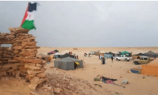 القضية الصحراوية: المواقف الأمريكية تقطع الطريق أمام الدعاية المغربية 