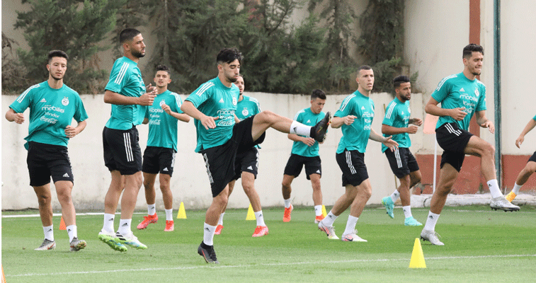 الناخب الوطني للمحليين بوقرة يصرح: تربصان آخران و6 وديات قبل كأس العرب