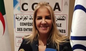 سعيدة نغزة تبحث مع مديرة مكتب منظمة العمل  الدولية بالجزائر سبل دفع التعاون  
